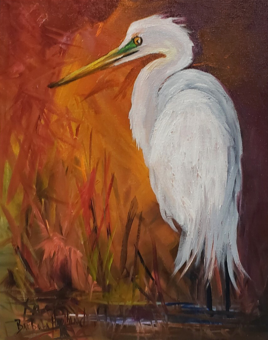 Egret Revisited