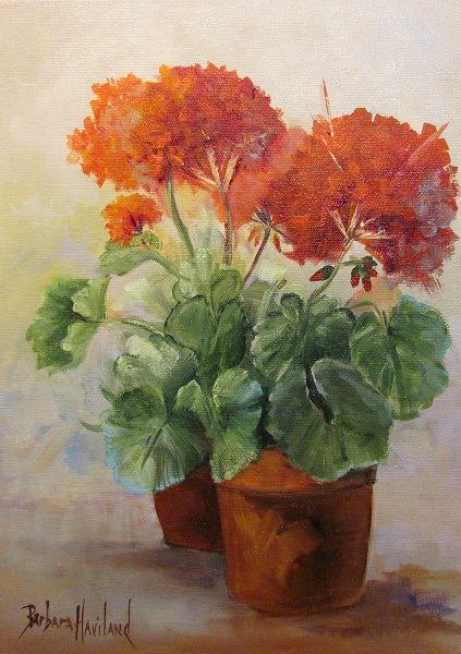 Red Geraniums, posies or flowers in oils