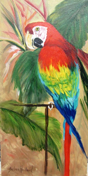 Charlie The Scarlet Macaw