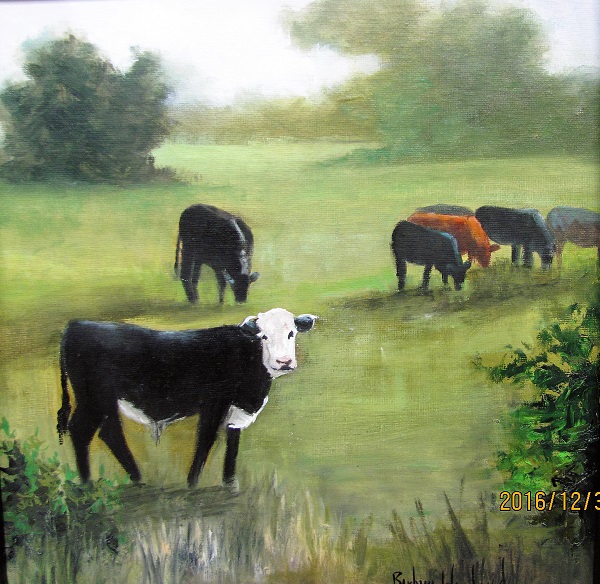 Cows in Pasture