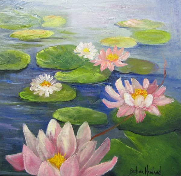Water Lilies and Flowers