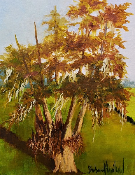 Trees at Dam B, Texas