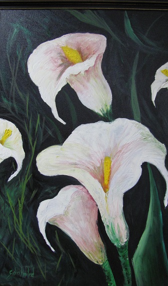 Five White Calla Lilies