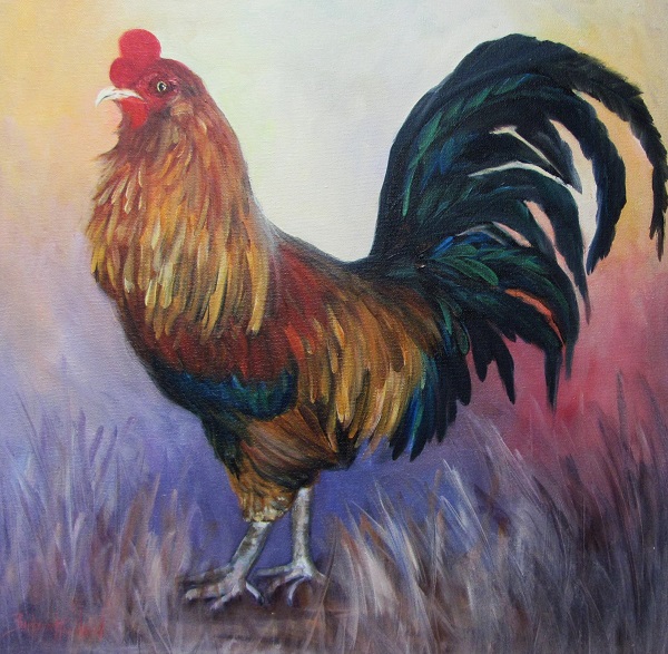 Colorful Fanciful Rooster, Wildlife