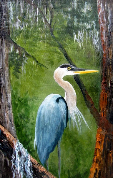Blue Heron, bird, bayou