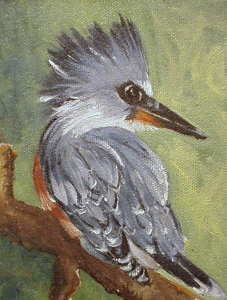 Kingfisher,bird
