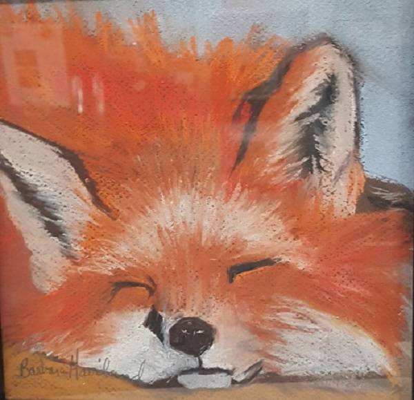 Sleepy Fox Pastels