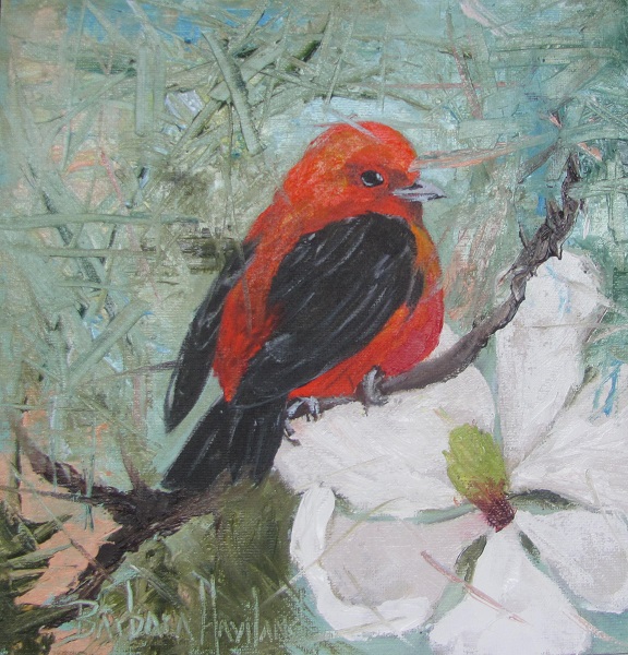 Tanager and Magnolia Textured