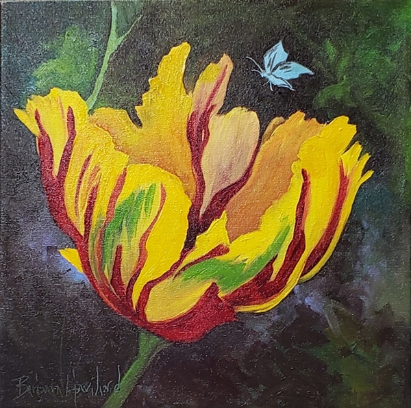 Rembrandt Yellow and Red  Parrot Tulip