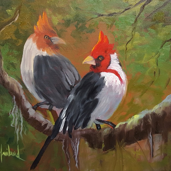 Red Crested Cardinals, birds,oil painting