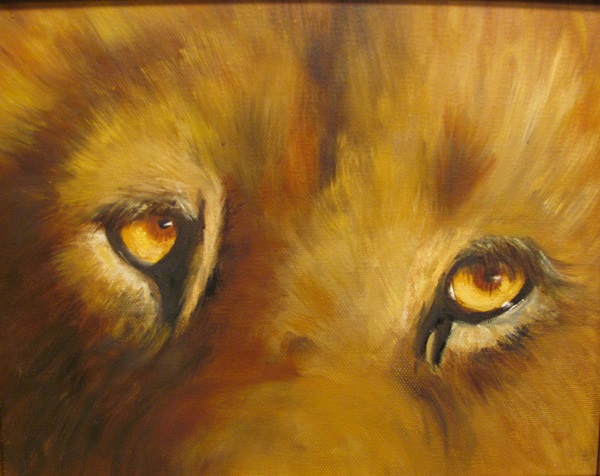Lion Eyes