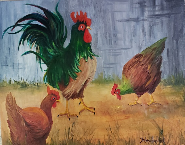 King of the Yard,wildlife,chickens