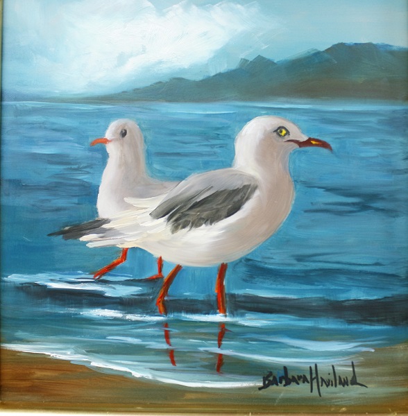 Pair of Sea Gulls