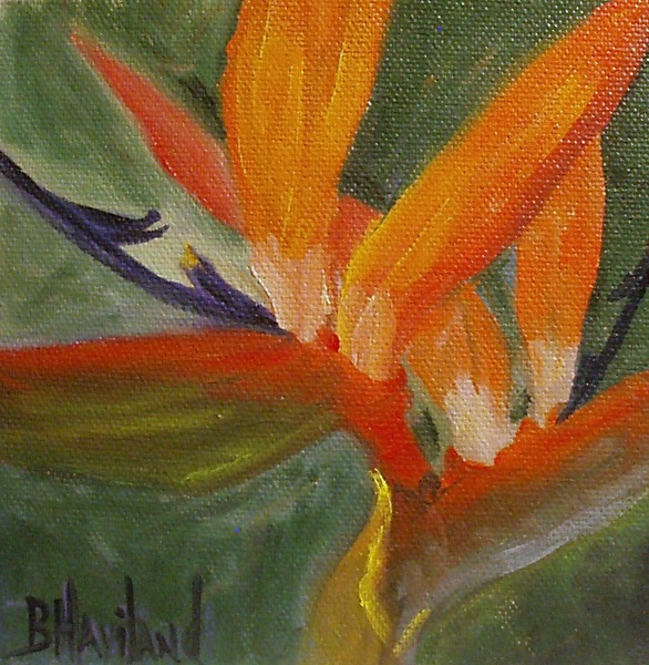 Bird of Paradise, miniature floral