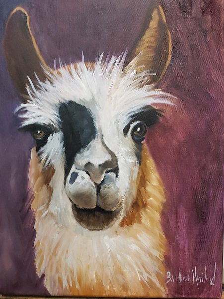 Patches, Llama  wildlife,oil painting