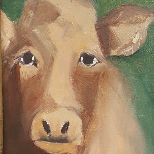 Blonde Cow, bovine,oil painting