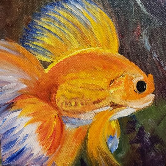 Little Goldfish, mini, fish