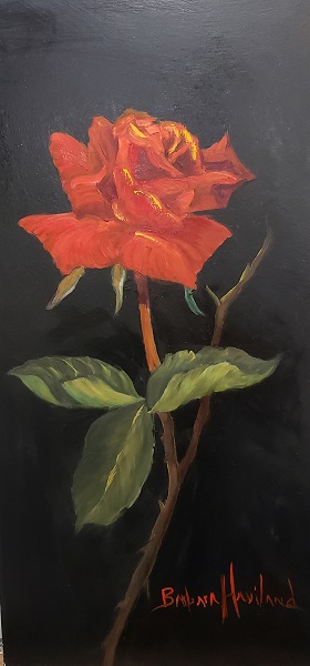 Long Stem Red Rose, flower