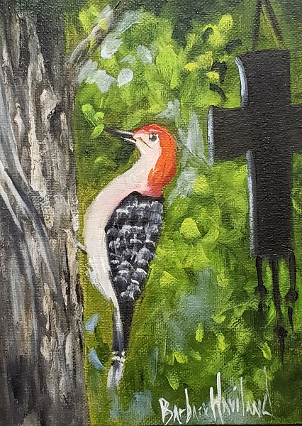 Pileated Woodpecker, bird