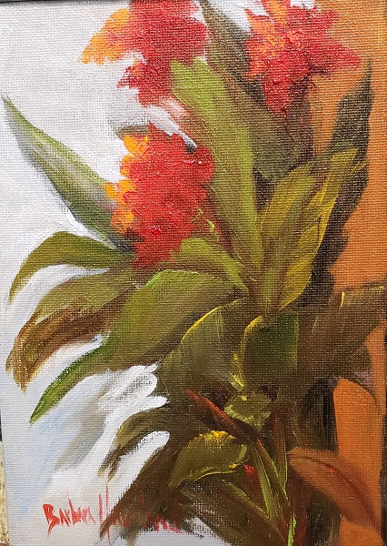 Red Cannas