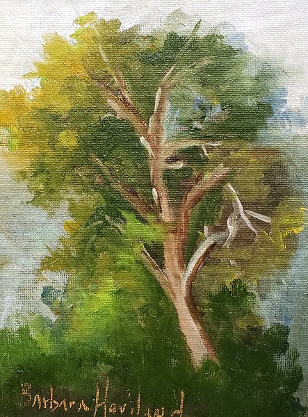 The Tree, miniature oil painting