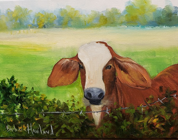 Curious Calf, bovine, oil painting