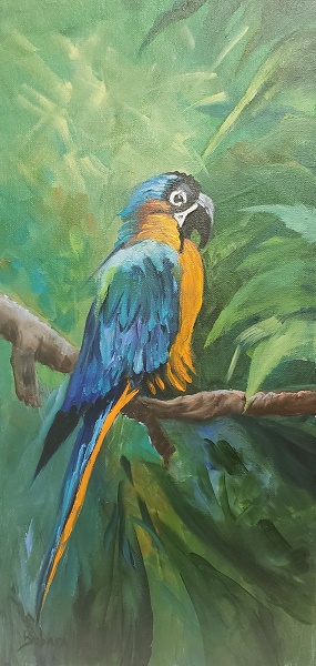 Blue Parrot, bird