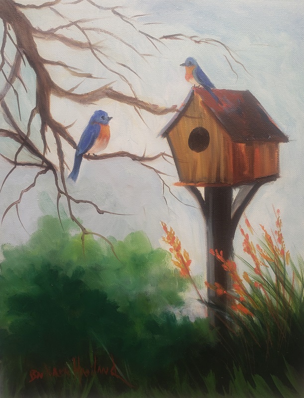 Blue Birds Nestin'