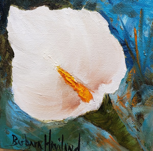White Calla Lily , small oil painting