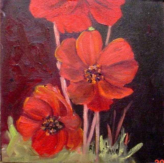 Red Cosmos Floral