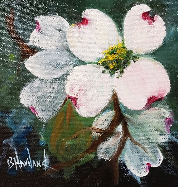 Dogwoods, floral, daily painting