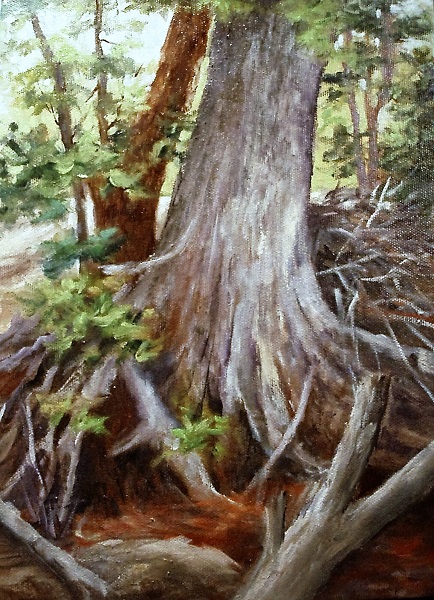 Cypress Tree at McKinney Falls, Plein Air