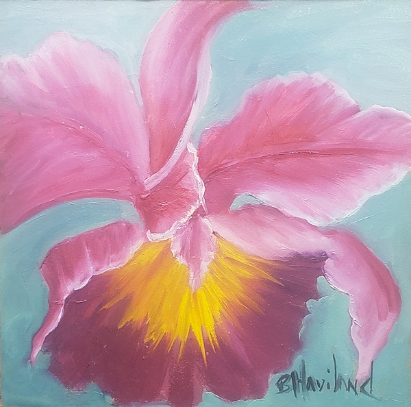 Pink Orchid, miniature