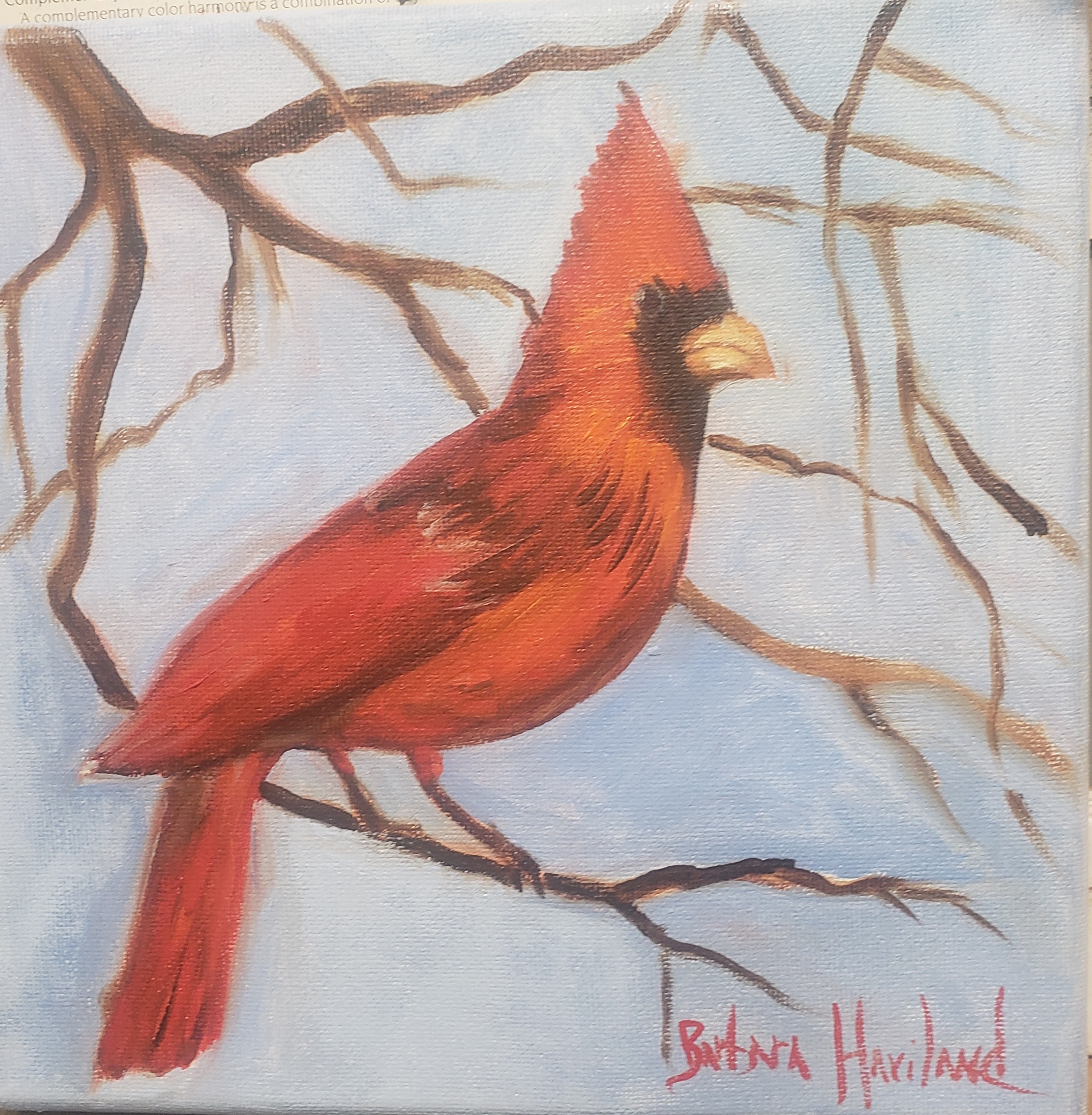 Red Cardinal, small oil painting