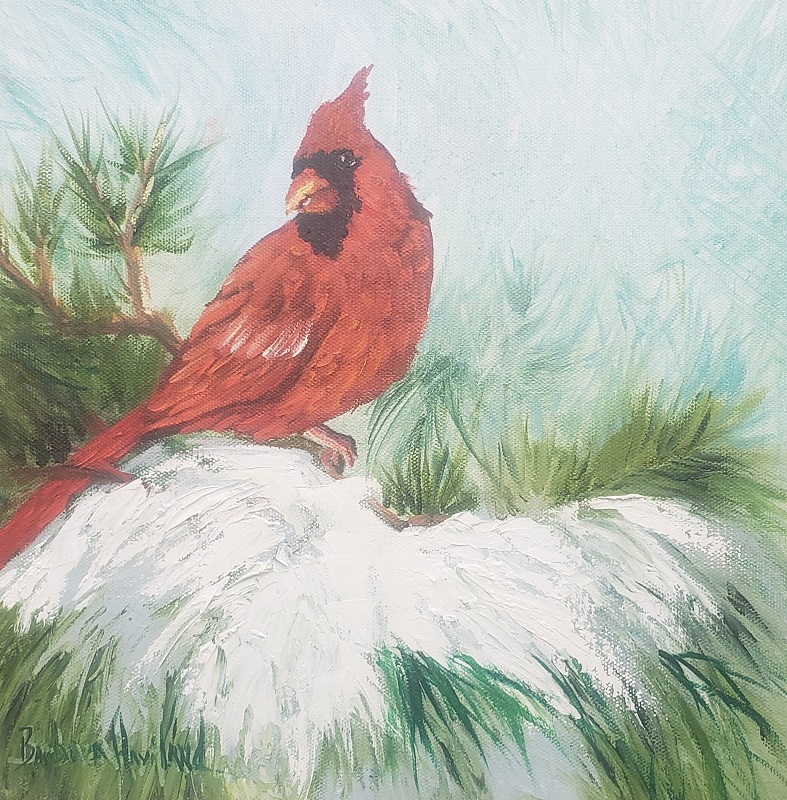 My Cardinal in the Snow, bird