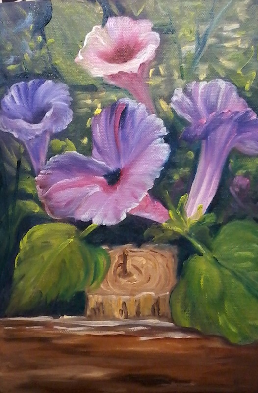 Found Morning Glories