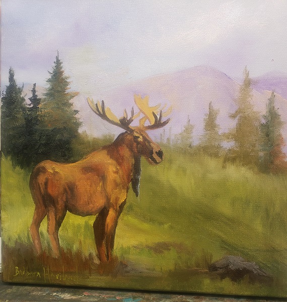 Moose in Mountains