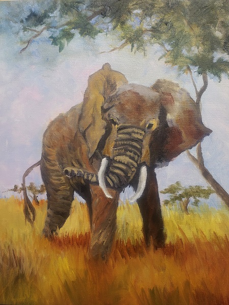 Elephant, wildlife