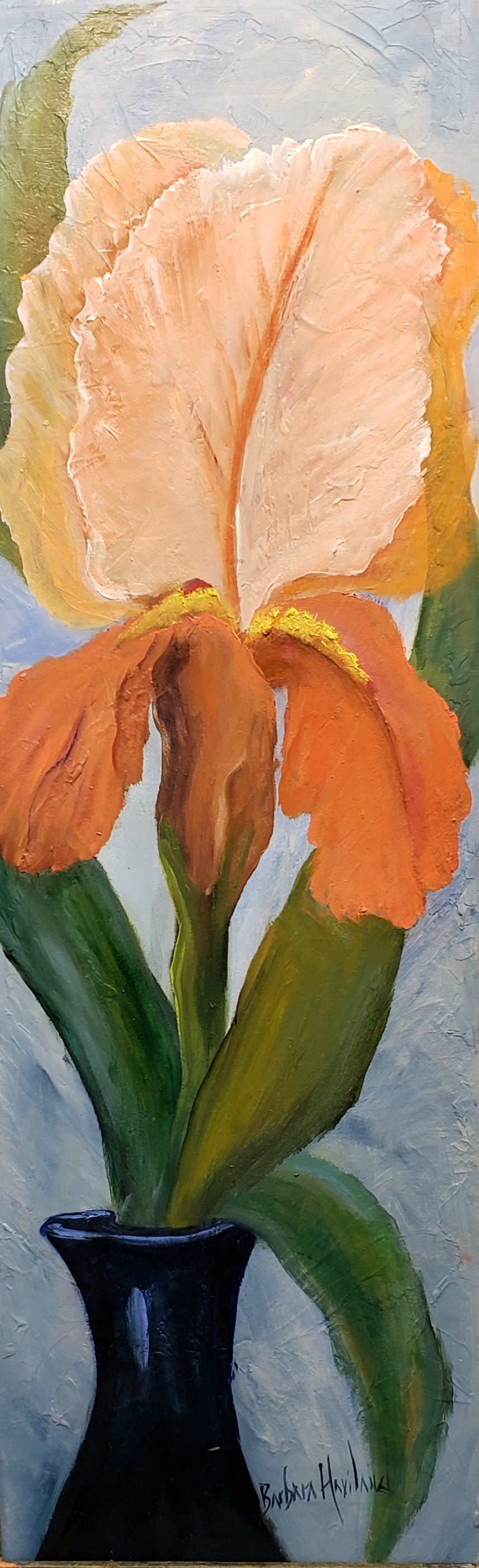 Peach Iris, Textured background, Barbara Haviland