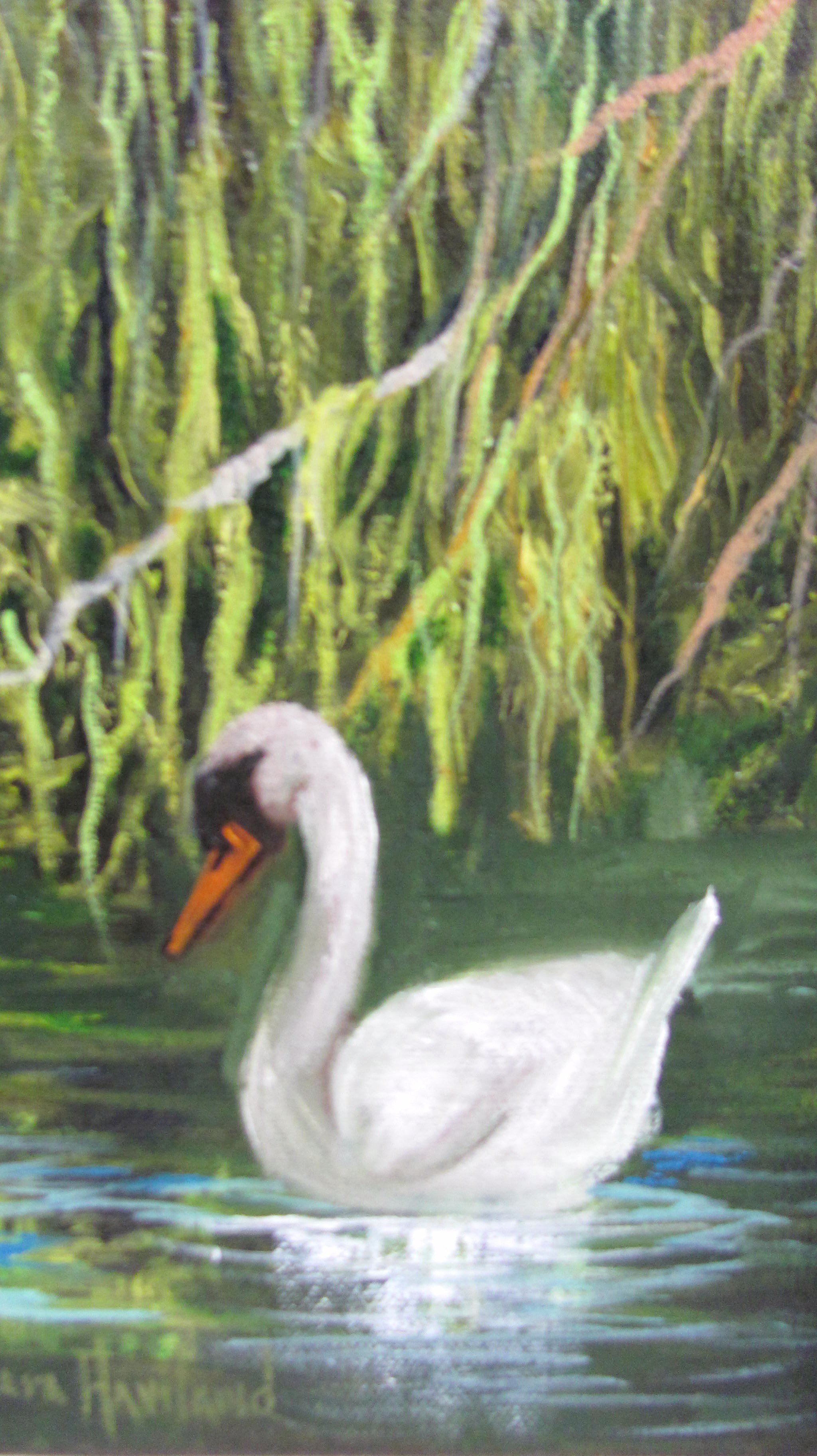 White Swan in Grasses